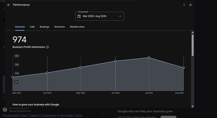 Protonated Hair Google Business Profile performance dashboard